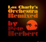Los Charly’s Orchestra – Disco Gamma  remixed by Pete Herbert (Cat Nr IMAGDIG018)